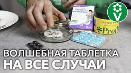 АПТЕЧНЫЙ СПАСАТЕЛЬ РАССАДЫ и стимулятор СЕМЯН! Два в одном!