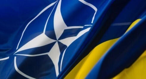 "Воно нам NATO" - Віталій Гайдукевич