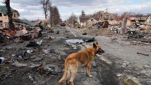 Парламенты Эстонии и Латвии признали войну России в Украине геноцидом