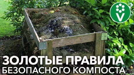 В КОМПОСТ МОЖНО КЛАСТЬ ВСЁ, если следовать ЭТИМ простым правилам