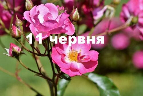 11 червня: це цікаво знати