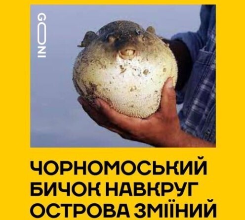 Інформація щодо поточних втрат рф внаслідок санкцій, станом на 19.06.2022