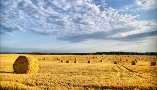 21 червня: це цікаво знати