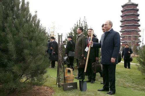 Сито Сократа: Пересадка имиджа на минном поле