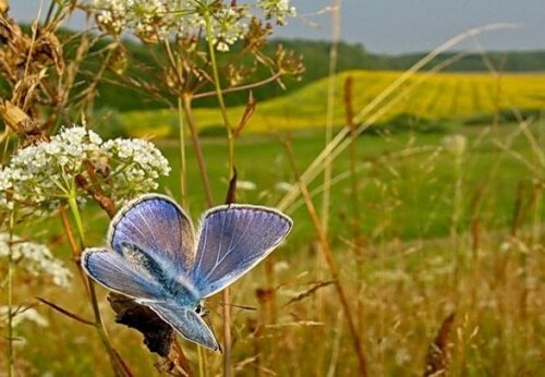 16 серпня: це цікаво знати