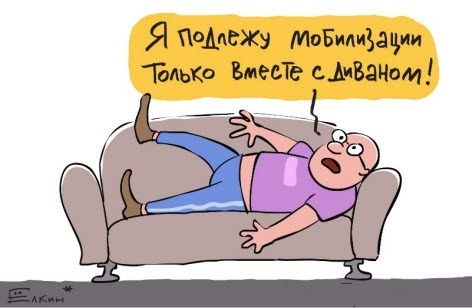 Проблема мобилизации