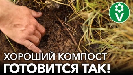 ЗОЛОТЫЕ ПРАВИЛА БЫСТРОГО И КАЧЕСТВЕННОГО КОМПОСТА! Созреет в разы быстрее и принесет только пользу