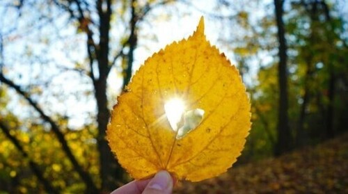 11 жовтня: це цікаво знати