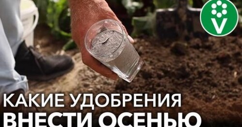 ЧТО ОБЯЗАТЕЛЬНО НУЖНО ВНЕСТИ В ПОЧВУ ОСЕНЬЮ? Все о минеральных и органических удобрениях осенью