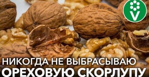 УДИВИТЕЛЬНЫЕ СВОЙСТВА СКОРЛУПЫ ГРЕЦКОГО ОРЕХА! Как применять скорлупу с пользой для здоровья и сада