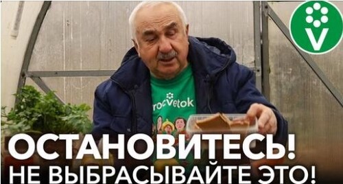 ЧТО СКРЫВАЮТ БЫВАЛЫЕ ОГОРОДНИКИ? Бесплатные удобрения для сада, огорода, рассады, комнатных цветов