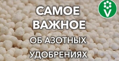 КАКИЕ АЗОТНЫЕ УДОБРЕНИЯ ВНОСИТЬ ВЕСНОЙ, А КАКИЕ ТОЛЬКО ЛЕТОМ? Виды удобрений, правила внесения