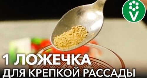 ВЗРЫВАТЕЛЬ РОСТА РАССАДЫ! Как увеличить урожай и ускорить рост рассады без удобрений?