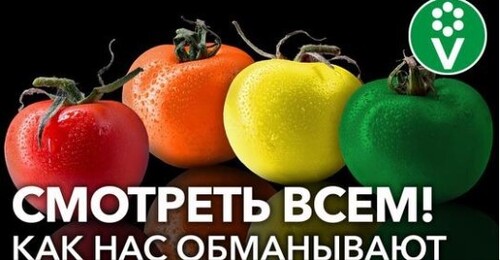 КАК НАС ОБМАНЫВАЮТ ПРОДАВЦЫ СЕМЯН ТОМАТОВ? Не попадитесь на маркетинговые уловки!