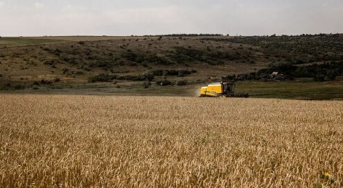 Війна Росії проти України посилює глобальний голод, - The New York Times