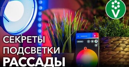 ВОТ ПОЧЕМУ ВАМ НЕ НУЖНЫ ФИТОЛАМПЫ ДЛЯ ДОСВЕЧИВАНИЯ РАССАДЫ! 