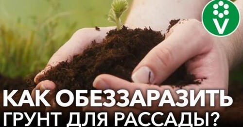 НЕ ПОГУБИТЕ СВОЮ РАССАДУ ПЛОХИМ ГРУНТОМ! Как правильно выбрать и обеззаразить землю для рассады?