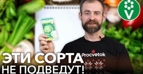 ЧТО Я БУДУ СЕЯТЬ В 2023 ГОДУ? Делюсь личным списком сортов овощей, которые никогда меня не подводили