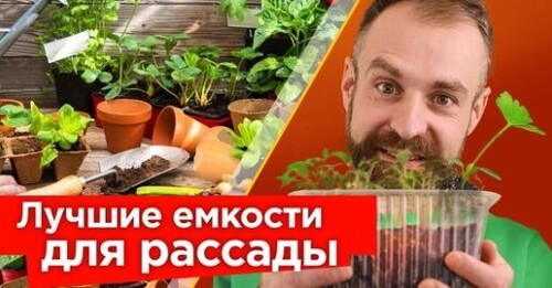 ВОТ ЛУЧШИЕ ЕМКОСТИ ДЛЯ КРЕПКОЙ И КОРЕНАСТОЙ РАССАДЫ! Выбираем правильные емкости для рассады