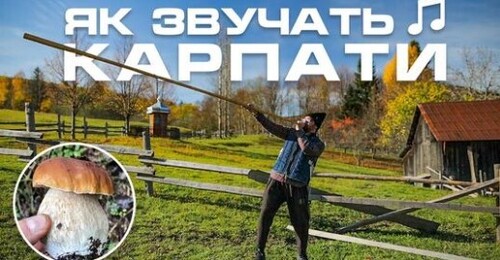 ГОРИ ВРАЖЕНЬ! Гриби, дерева, водоспади, гуцульські музичні інструменти. Як звучать Карпати