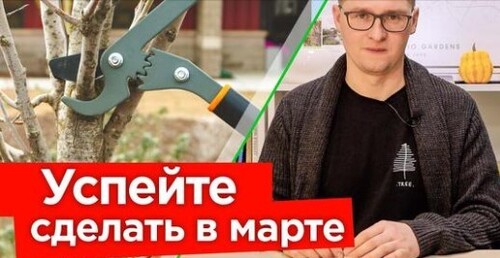 ВАЖНЫЕ РАБОТЫ В САДУ В МАРТЕ! Первая обработка и подкормка, обрезка деревьев и кустарников