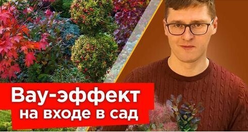 ПРОХОЖИЕ НЕ СМОГУТ ОТОРВАТЬ ВЗГЛЯД ОТ ВАШЕГО УЧАСТКА, если посадите эти растения на входе!