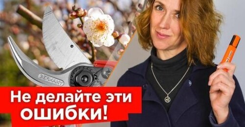 ТРИ ГЛАВНЫХ ПРАВИЛА ОБРЕЗКИ ПЛОДОВЫХ! Следуйте им и всегда будете с урожаем