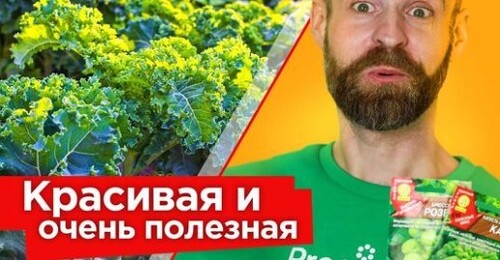 Вот зачем выращивать кале и брюссельскую капусту