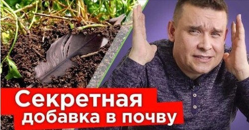 САМЫЕ ОМЕРЗИТЕЛЬНЫЕ УДОБРЕНИЯ для сада и огорода, от которых растения преображаются на глазах!