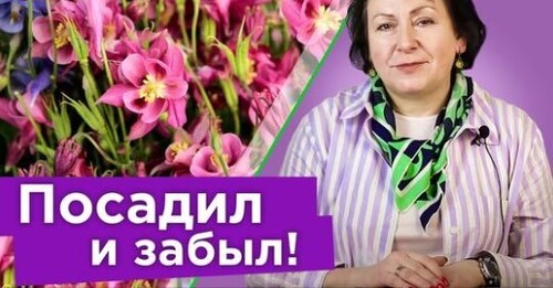 ВОТ ЭТО ЖИВУЧЕСТЬ! 10 цветов в моем саду, которые не смогли уничтожить дожди и холод