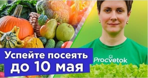 ЭТИ ОВОЩИ НУЖНО УСПЕТЬ ПОСЕЯТЬ ДО 10 МАЯ, иначе потом не ждите хорошего урожая