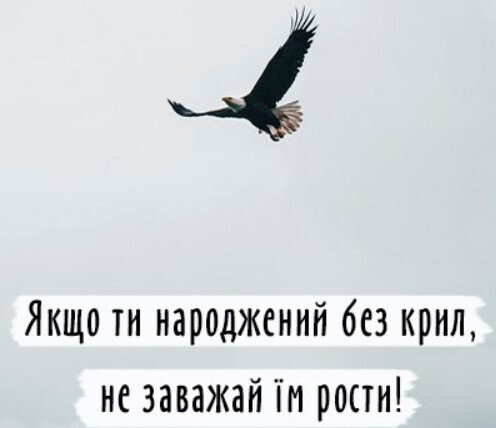 "Трохи побутові, так сказати, питання..." - Олена Кудренко