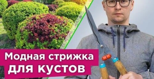 Какие кустарники СТОИТ ОБРЕЗАТЬ ВЕСНОЙ, а какие лучше не трогать?