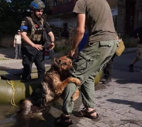 ДАВАЙТЕ ОСТАВШЕЕСЯ НАМ ВРЕМЯ ПРОЖИВЕМ ПО-ЧЕЛОВЕЧЕСКИ