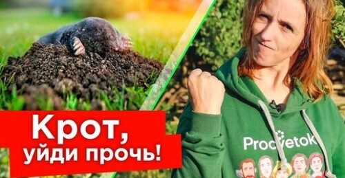 КРОТЫ УБЕГУТ БЕЗ ОГЛЯДКИ И БОЛЬШЕ НЕ ВЕРНУТСЯ! 5 эффективных способов борьбы с кротами