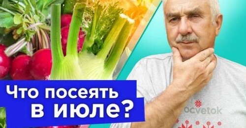 ЕЩЕ НЕ ПОЗДНО ПОСЕЯТЬ В ИЮЛЕ! Посейте эти овощи сейчас и до зимы будете обеспечены свежей зеленью