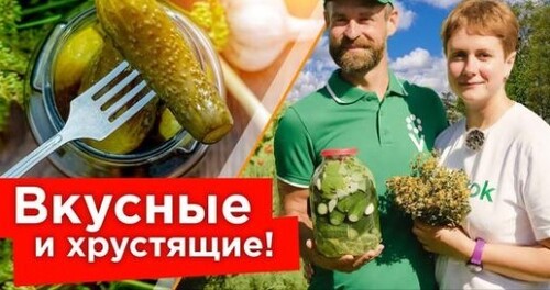 МАЛОСОЛЬНЫЕ ОГУРЦЫ ВСЕГО ЗА СУТКИ! Готовим в хорошей компании весело и быстро