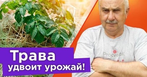 ВЫ БОЛЬШЕ НИКОГДА НЕ БУДЕТЕ ВЫБРАСЫВАТЬ СКОШЕННУЮ ТРАВУ ПОСЛЕ ПРОСМОТРА ЭТОГО ВИДЕО