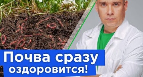 ПОЧВА ОЗДОРОВИТСЯ И СТАНЕТ ПЛОДОРОДНОЙ, если сделать это осенью!