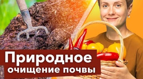 САМЫЙ ПРОСТОЙ СПОСОБ ОБЕЗЗАРАЗИТЬ ПОЧВУ ДОСТУПНЫЙ ВСЕМ!