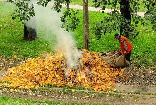 Не тратьте время на эти работы на даче осенью: 3 дела, которые можно отложить