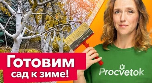 НЕ ПРОПУСТИТЕ! 7 САМЫХ ВАЖНЫХ РАБОТ В САДУ перед зимой, о которых нельзя забывать!