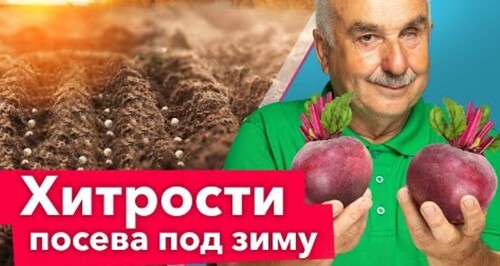 НЕ ЖДИТЕ ВЕСНЫ - СЕЙТЕ ОСЕНЬЮ! Агроном рассказал, какие растения и как лучше сеять под зиму