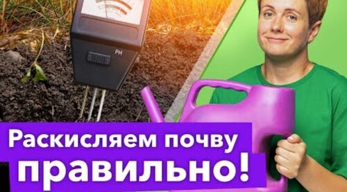 КИСЛАЯ ПОЧВА СТАНЕТ ПЛОДОРОДНОЙ! Вот чем и как раскислить почву осенью и весной правильно