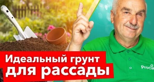 ДОБАВЬТЕ ЭТО В ЗЕМЛЮ ДЛЯ РАССАДЫ, и она вырастет крепкой, толстенькой и не будет болеть