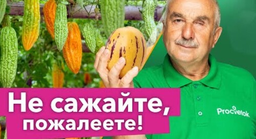 БОЛЬШЕ НИКОГДА НЕ ПОСАЖУ ЭТИ РАСТЕНИЯ В ОГОРОДЕ! Вырастить сложно, а урожая кот наплакал