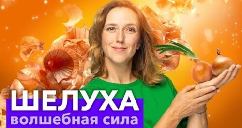 ЛУКОВАЯ ШЕЛУХА - МОЙ СПАСАТЕЛЬ в саду и огороде! 3 рецепта из луковой шелухи от всех напастей