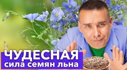 Что будет, если есть СЕМЕНА ЛЬНА каждый день? Только научные факты!