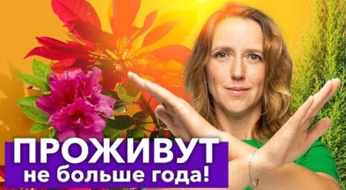 ЭТИ ЦВЕТЫ - ДЕНЬГИ НА ВЕТЕР! 5 невероятно красивых, но очень капризных комнатных цветов