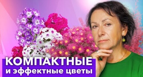 ШИКАРНЫЕ НИЗКОРОСЛЫЕ МНОГОЛЕТНИЕ ЦВЕТЫ, которые стоит посадить в 2024 году!